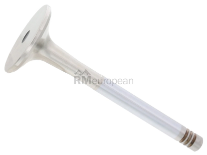 Porsche Exhaust Valve TRW 92810541004