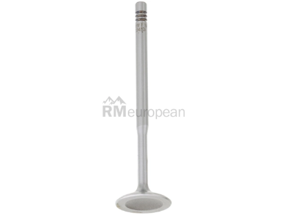 VW-Audi Intake Valve TRW 058109601C