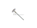 VW-Audi Intake Valve TRW 06E109601E