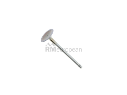 VW-Audi Intake Valve TRW 06E109601E
