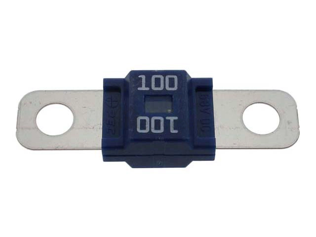 Fuse - 100 Amp Bosch 559039039