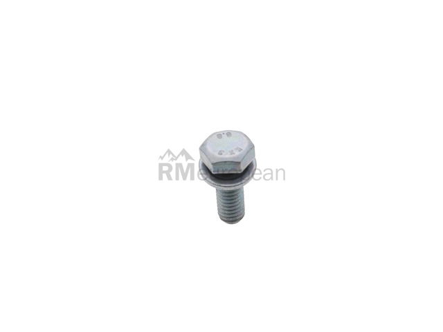 Hex Head Bolt Genuine BMW/Mini 07119904524