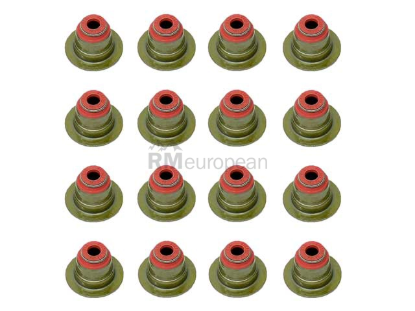 BMW Valve Stem Seal Kit Victor Reinz 11340029751