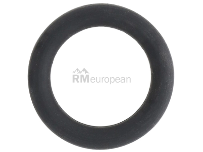Mercedes Oil Level Sensor O-Ring Elring Klinger 012997734564