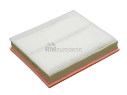 BMW Air Filter Mann Filter 13717798342