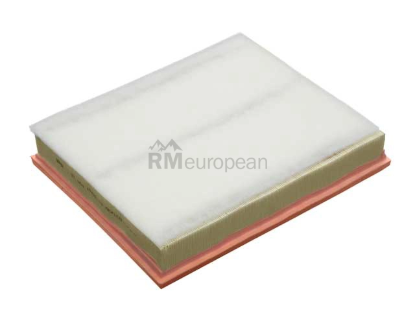 BMW Air Filter Mann Filter 13717798342