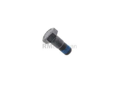 Mercedes Brake Caliper Bolt O.E.M. 1234210271