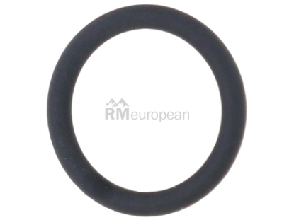 BMW O-Ring Victor Reinz 11427590576