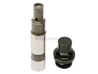 Land Rover Timing Chain Tensioner INA 8510259