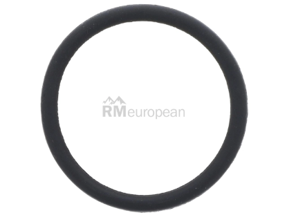 BMW O-Ring Genuine BMW 11128510539