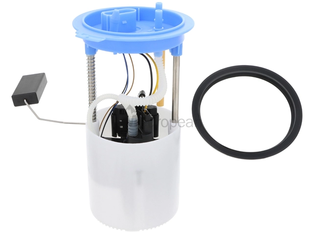 VW-Audi Fuel Pump Assembly VDO 1K0919051DB