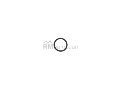 BMW O-Ring Victor Reinz 11427590577