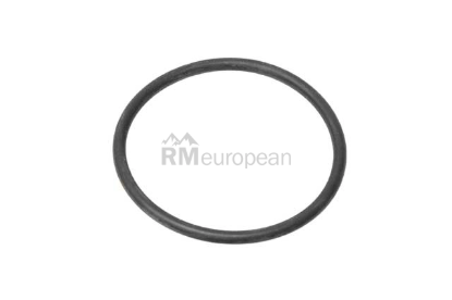 BMW Water Hose O-Ring Genuine BMW 11537584829