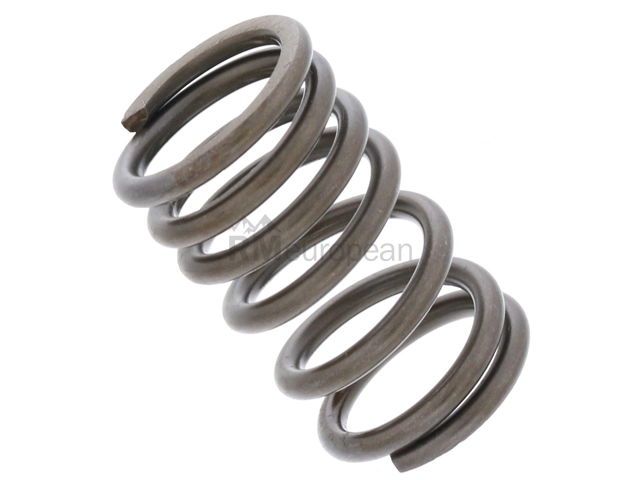 VW-Audi Valve Spring Empi 113109623C
