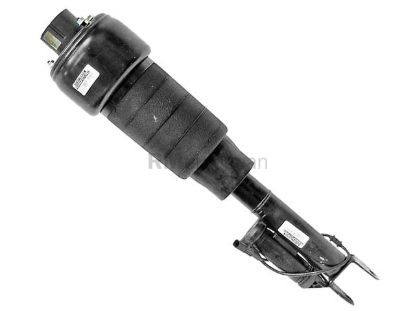 Shock Absorber Arnott Industries AS2246