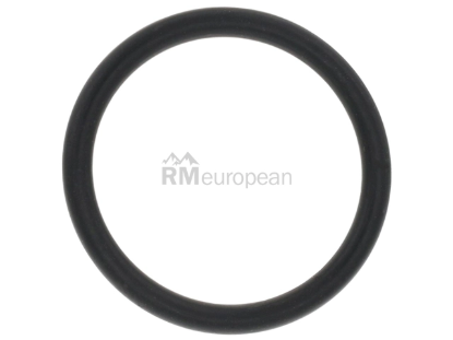 Porsche Coolant Pipe O-Ring Genuine Porsche 9A700792000