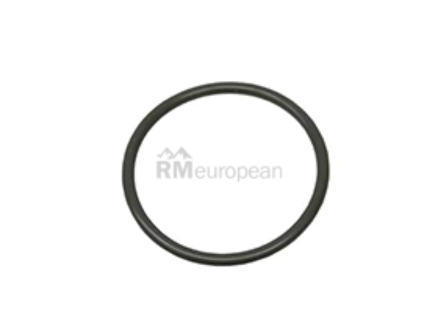 O-Ring Victor Reinz 407315100
