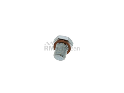 Engine Oil Drain Plug Corteco 11137535106