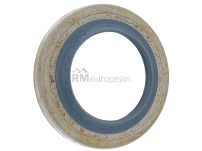 Volvo Seal Pro Parts 30681339