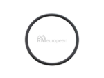 Porsche O-Ring Victor Reinz 99970165240