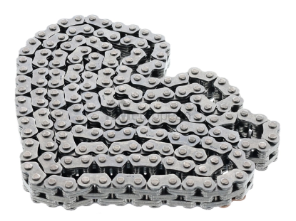 VW-Audi Timing Chain Genuine VW/Audi 06K109158BP