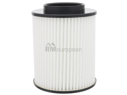 VW-Audi Air Filter Mahle 4N0129620C