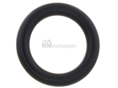 Oil Drain Plug O-Ring Elring Klinger N90405402