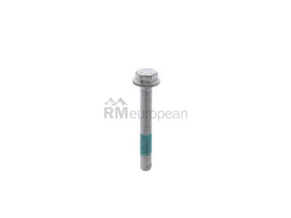 VW-Audi Engine Mount Bolt Genuine VW/Audi N10406204