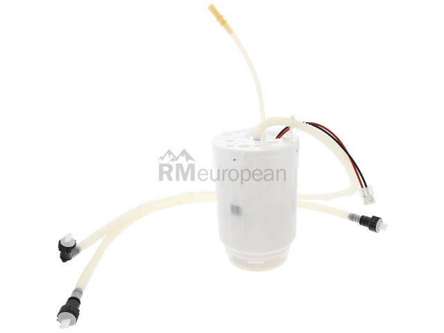 VW-Audi Fuel Pump Assembly Delphi 4L0919087A