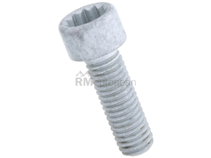 VW-Audi Crankshaft Pulley Bolt Genuine VW/Audi N91005902