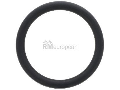 VW-Audi Water Pipe Seal BBR Automotive N90380002