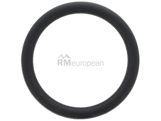 VW-Audi Water Pipe Seal BBR Automotive N90380002