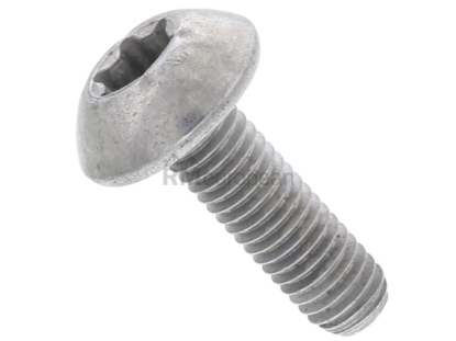 Porsche Coil Cover Screw Genuine Porsche WHT003425