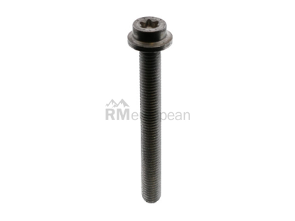 Porsche Engine Torque Damper Bolt Genuine Porsche WHT004595
