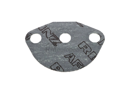 VW-Audi Fuel Pump Gasket Victor Reinz 113127313