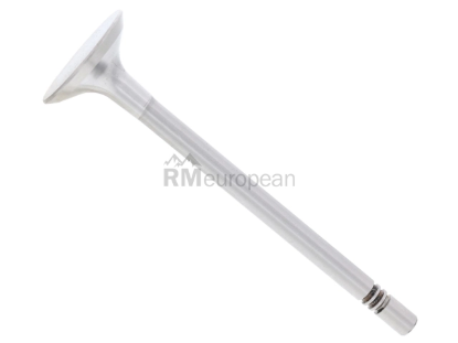 VW-Audi Intake Valve TRW 03L109601