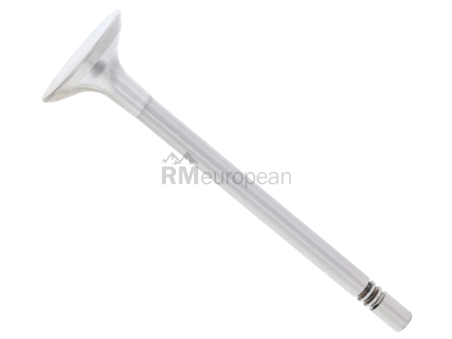 VW-Audi Intake Valve TRW 03L109601