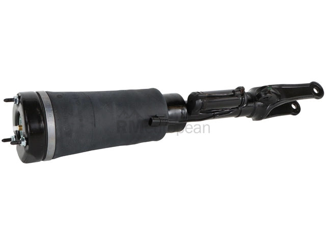 Mercedes Shock Absorber Arnott Industries 2513205713