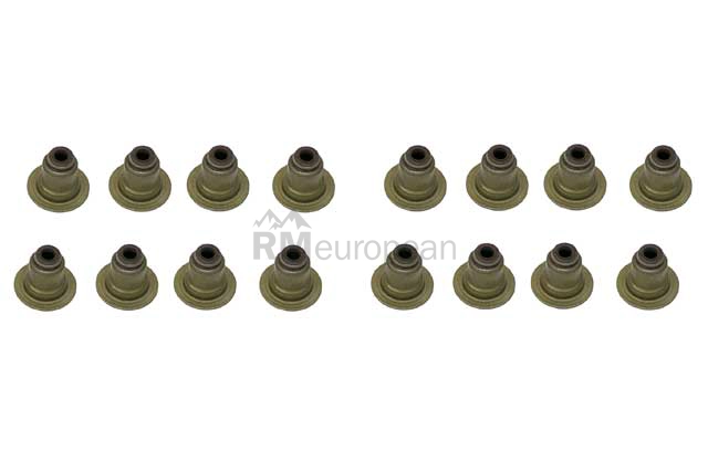 Mini Valve Stem Seal Kit Victor Reinz 11340033950