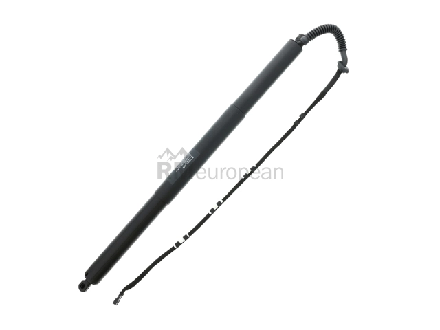 Hatch Shock Stabilus 228030