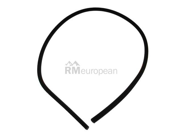 BMW Sunroof Seal Genuine BMW 54128106928