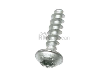 VW-Audi Thermostat Housing Bolt Genuine VW/Audi N10611201