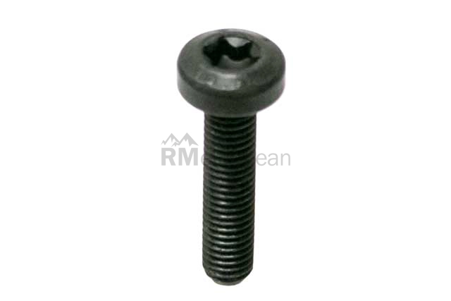 Mini Oil Pump Sprocket Bolt Genuine Mini 11417553143