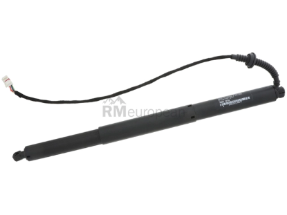 Hatch Shock Stabilus 799985