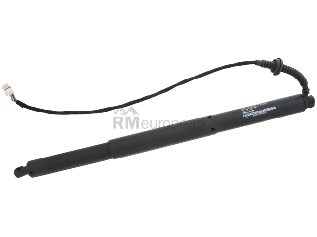 Hatch Shock Stabilus 799985