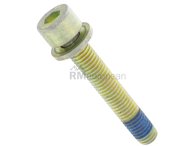 Porsche Camshaft Housing Bolt Genuine Porsche 99921808202