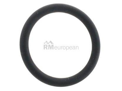 BMW O-Ring Victor Reinz 11427563453