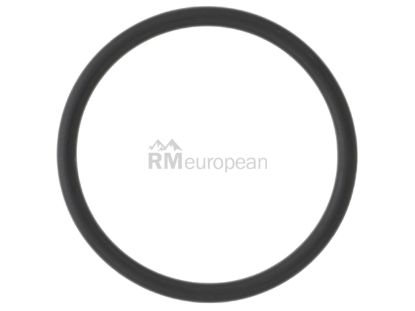 Porsche O-Ring Genuine Porsche 99970763640