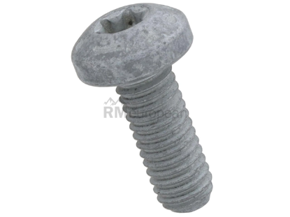 Porsche Camshaft Adjuster Bolt Genuine Porsche 99907310301
