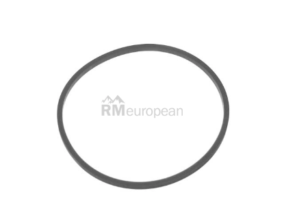 VW-Audi Seal ZF 01V409133B